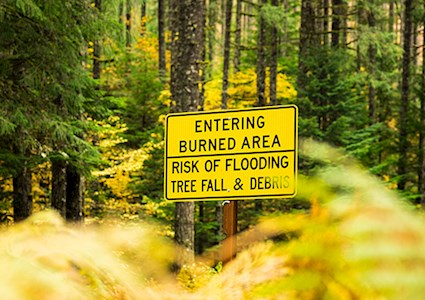 An Entering Burned Area sign surrounded by high trees in a forest