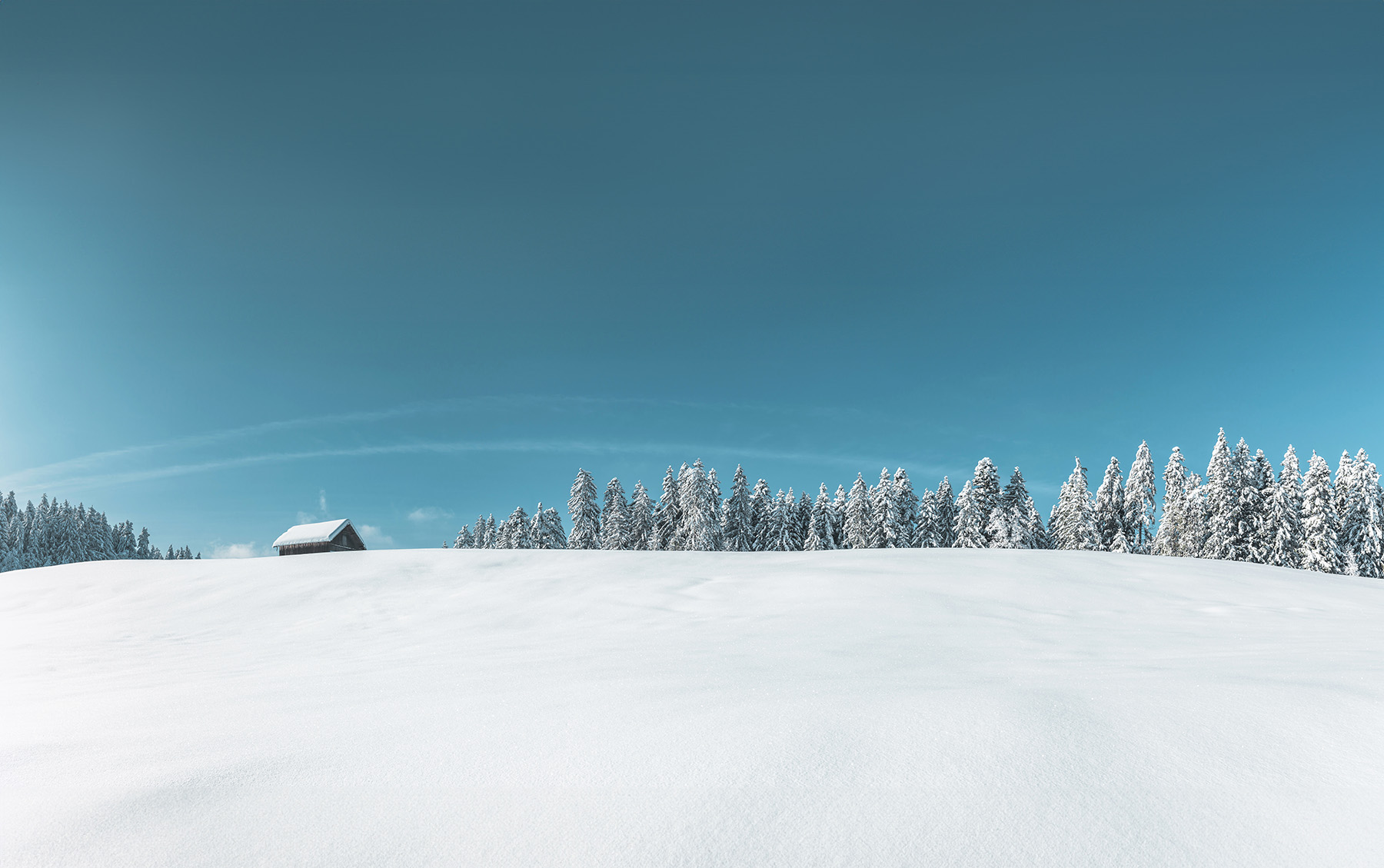 A small, snow-covered building sits amidst snow-covered trees.