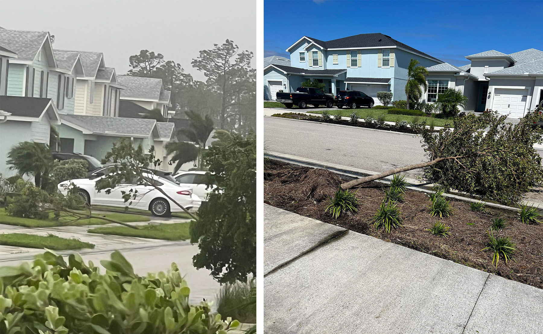 Two photos show minor landscaping damage following Hurricane Ian.