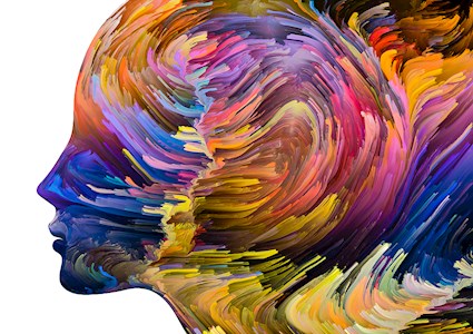 Illustration shows a face in profile covered in different colors. 