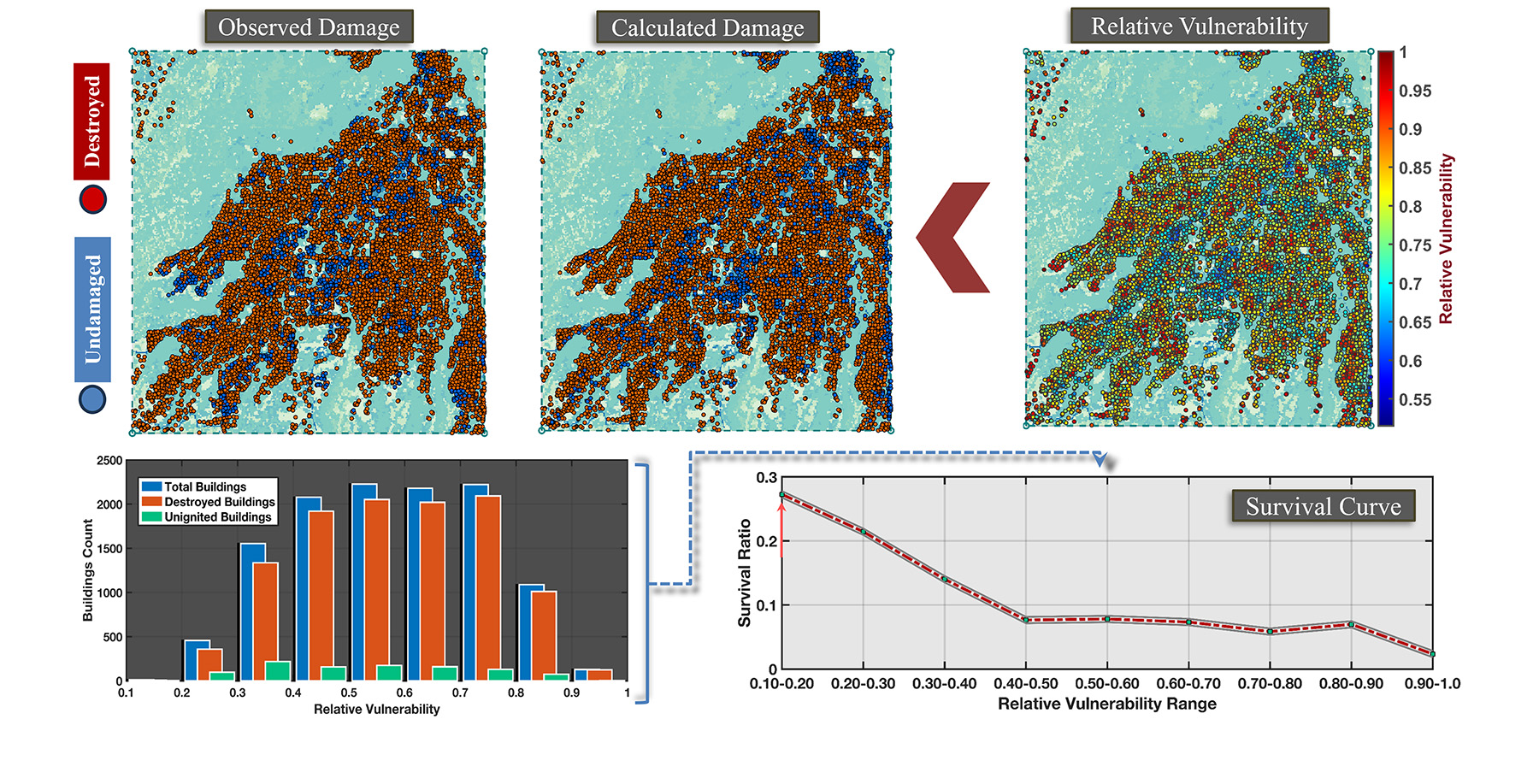 The top left image shows observed damage states: blue represents undamaged/minimally damaged and red represents significantly damaged structures. The top right image shows the vulnerability of buildings relative to each other calculated using the AGNI-NAR model. The top middle image shows the calculated damaged states by converting the vulnerability plot into discrete damage states using a cutoff vulnerability value to mark damaged versus undamaged states: blue represents undamaged/minimally damaged and red represents significantly damaged structures. The bottom left figure shows the distribution of damaged, undamaged, and total buildings based on the calculated relative vulnerability. The bottom right image shows the survival plot calculated from the distribution plot for the Camp Fire (survivability plot to expresses the survival likelihood of individual buildings into different vulnerability classes).