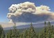 a cloud of smoke hovers over greenery, including trees