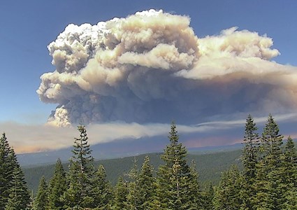 a cloud of smoke hovers over greenery, including trees