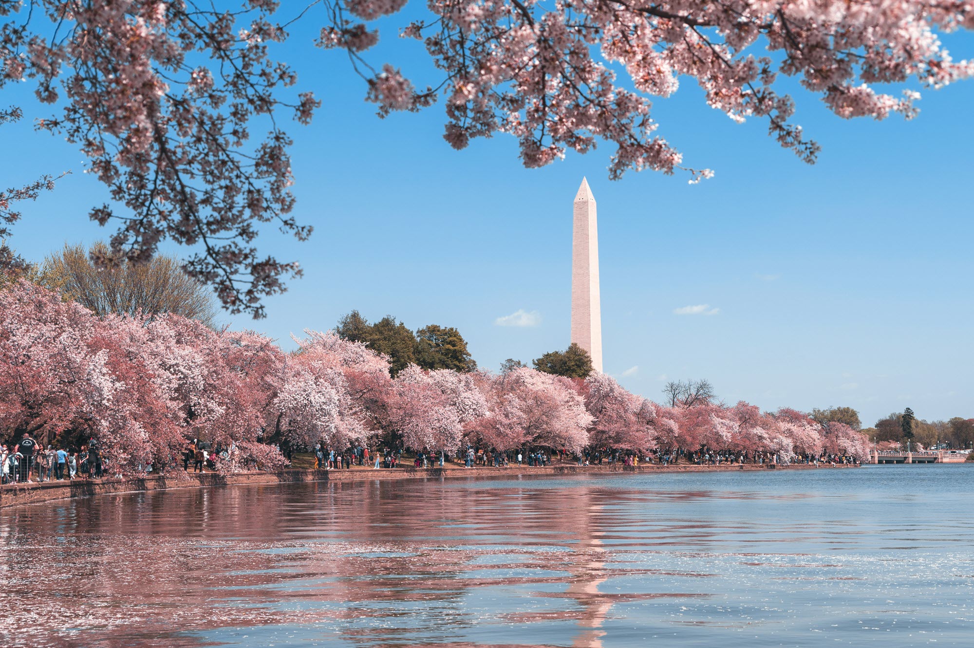 photo of Washington DC