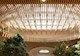 a wooden ceiling above passengers and trees in an airport terminal